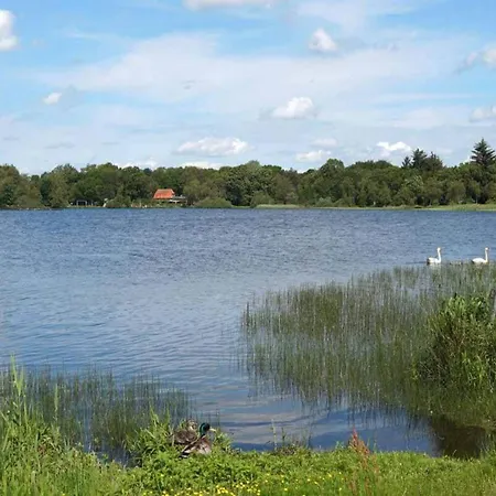 Holiday home 8 Person In *